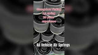 nhà sản xuất lò xo không khí cho tất cả các loại lò xo không khí